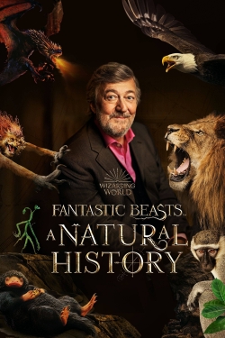 Watch Fantastic Beasts: A Natural History free online