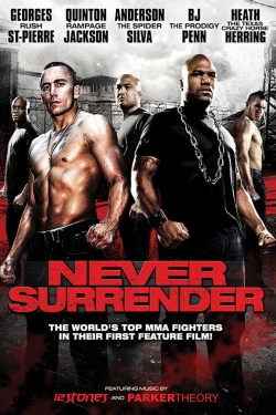 Watch Never Surrender free online