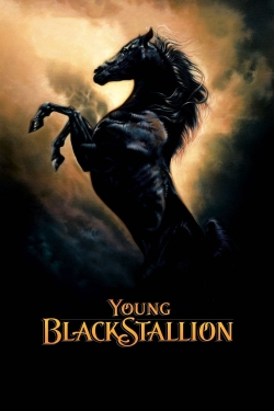 Watch Young Black Stallion free online