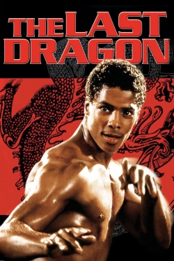 Watch The Last Dragon free online