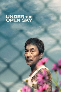 Watch Under the Open Sky free online