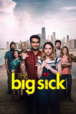 Watch The Big Sick free online