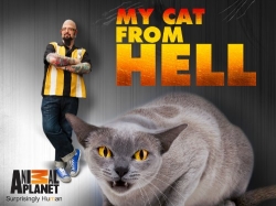 Watch My Cat from Hell free online