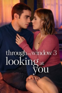 Watch Through My Window 3: Looking at You free online