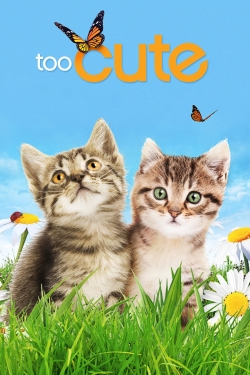 Watch Too Cute free online