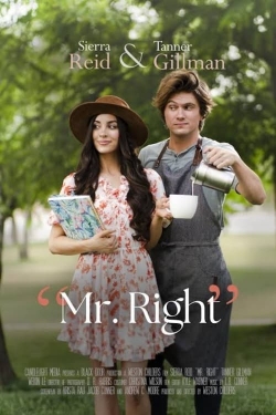 Watch Mr. Right free online