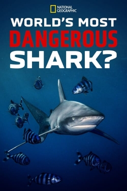 Watch World's Most Dangerous Shark? free online