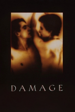 Watch Damage free online