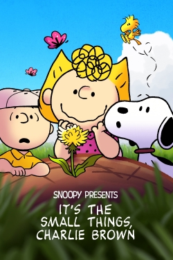 Watch Snoopy Presents: It’s the Small Things, Charlie Brown free online